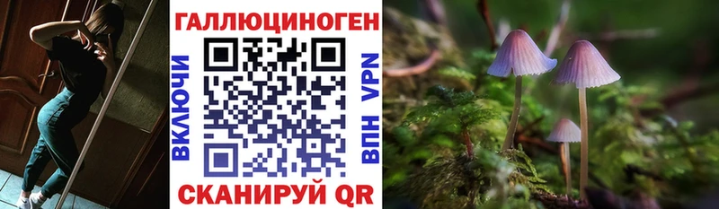 Псилоцибиновые грибы Magic Shrooms  Купить закладки  Гусиноозёрск 